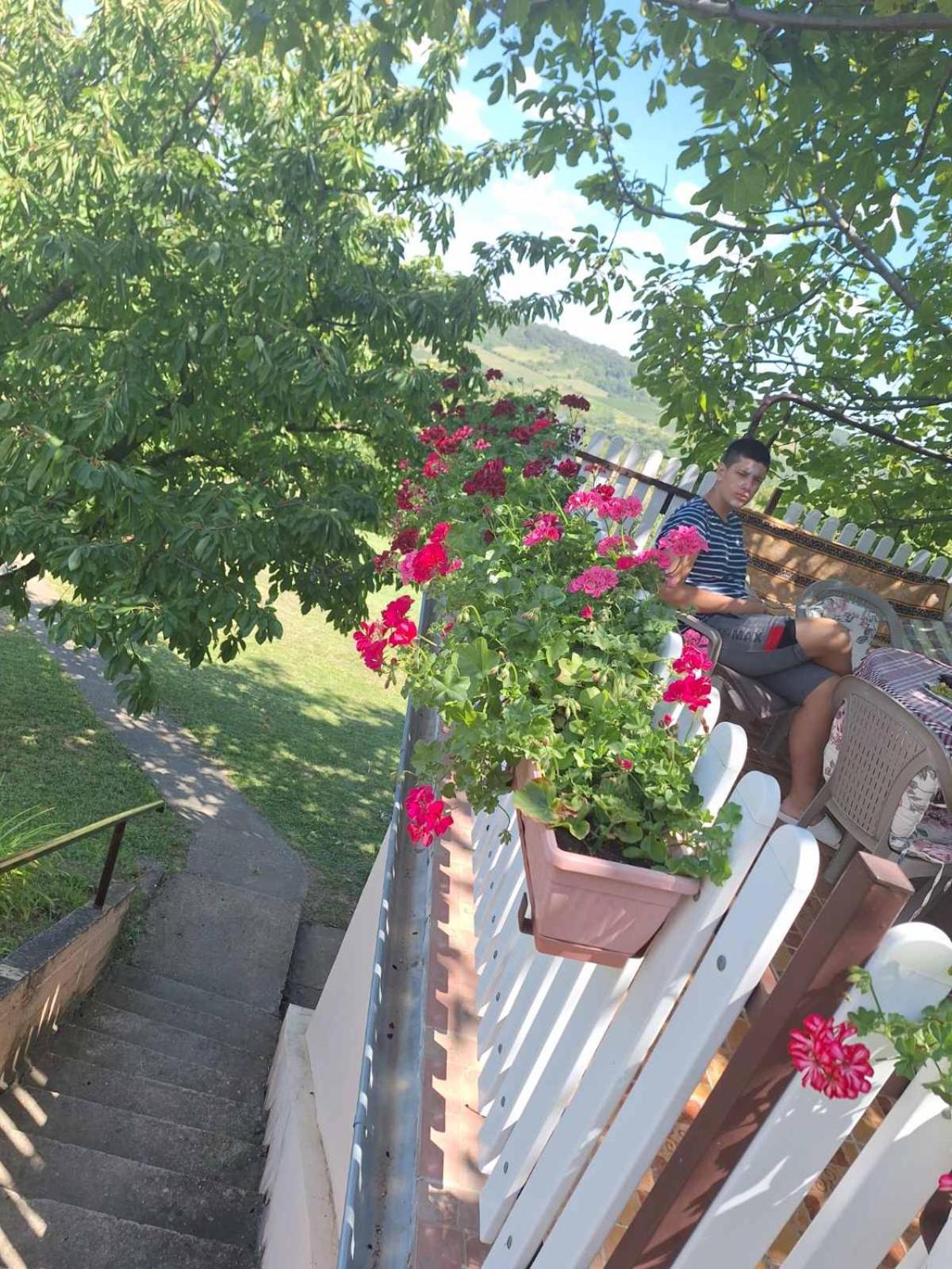 Guest House Jevtovic スレムスキ・カルロヴツィ エクステリア 写真