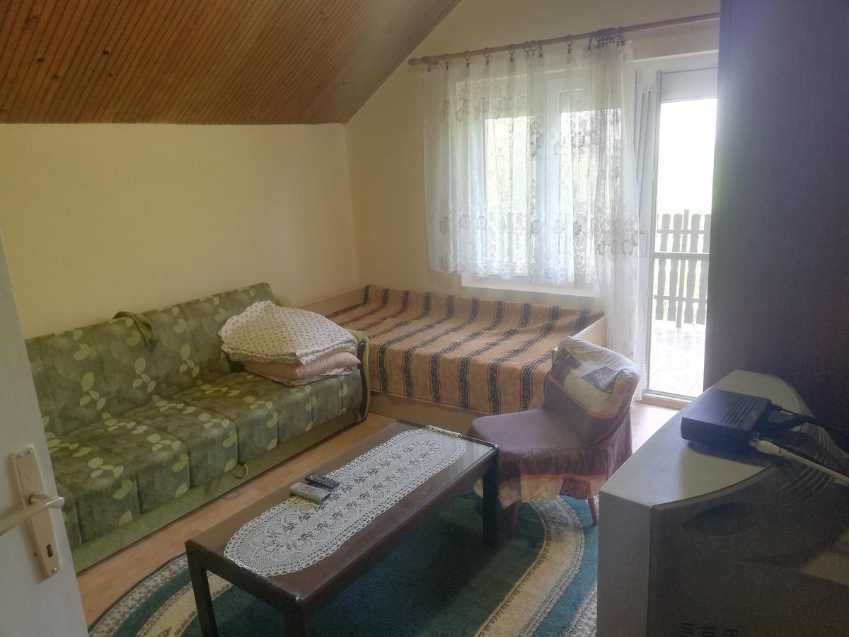 Guest House Jevtovic スレムスキ・カルロヴツィ エクステリア 写真
