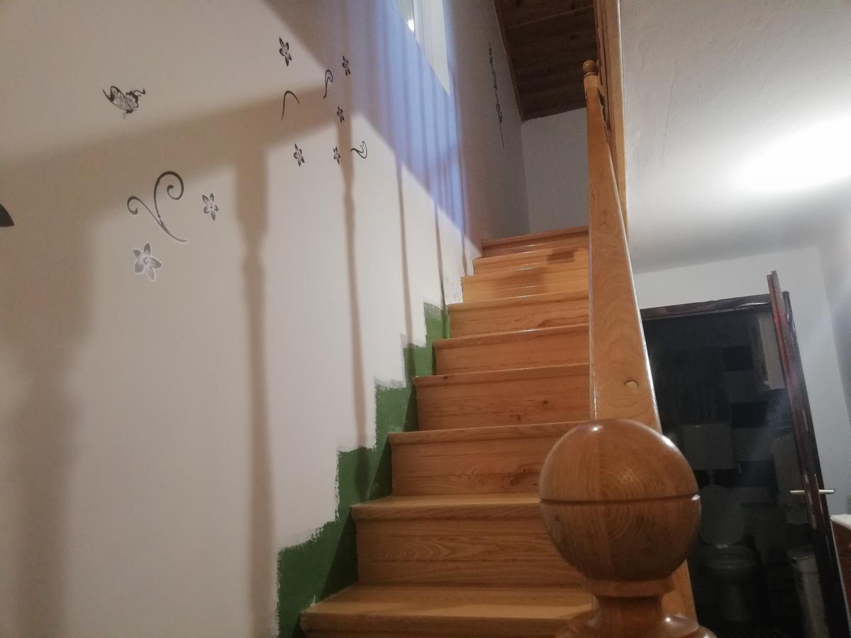 Guest House Jevtovic スレムスキ・カルロヴツィ エクステリア 写真