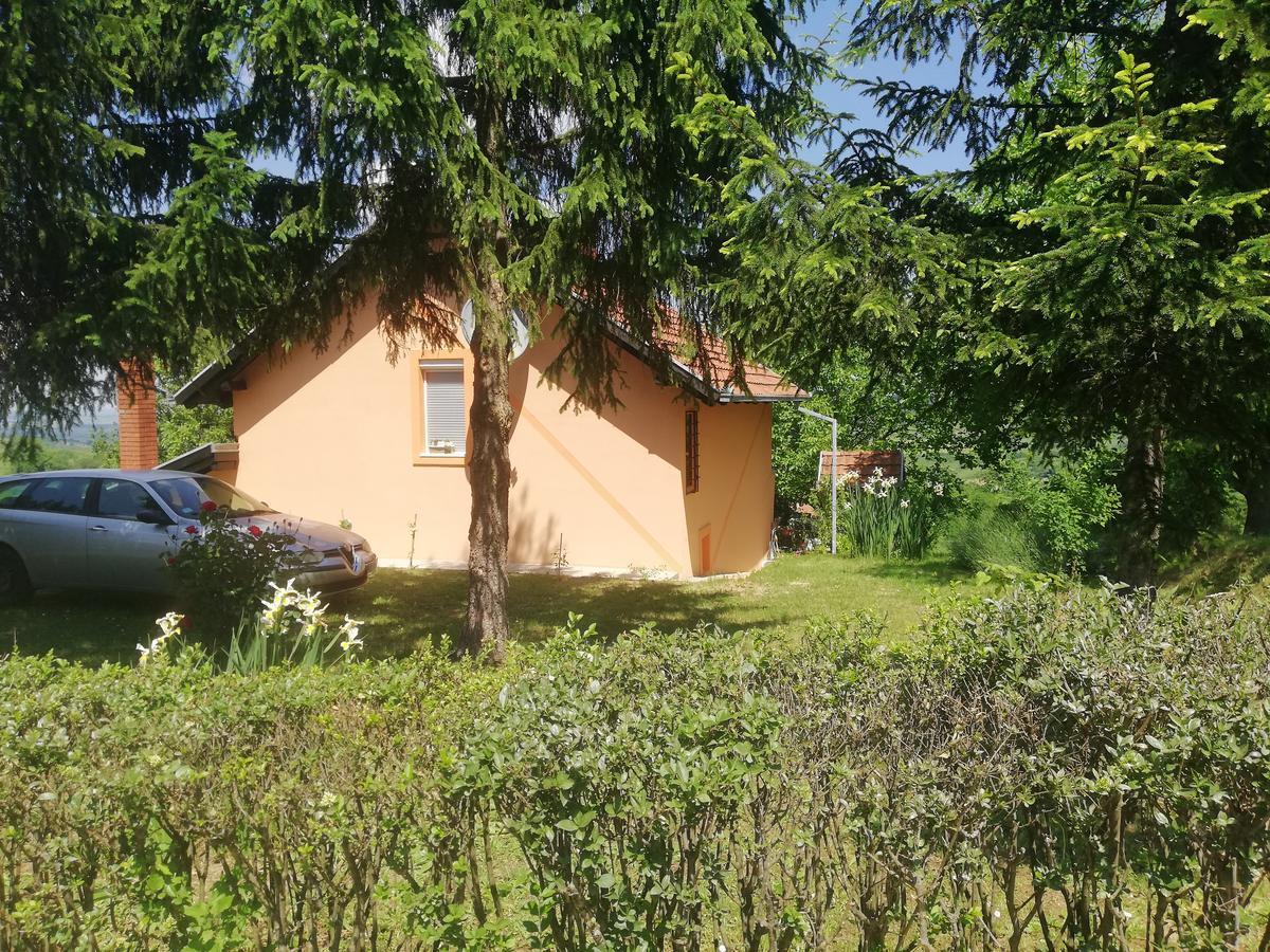Guest House Jevtovic スレムスキ・カルロヴツィ エクステリア 写真