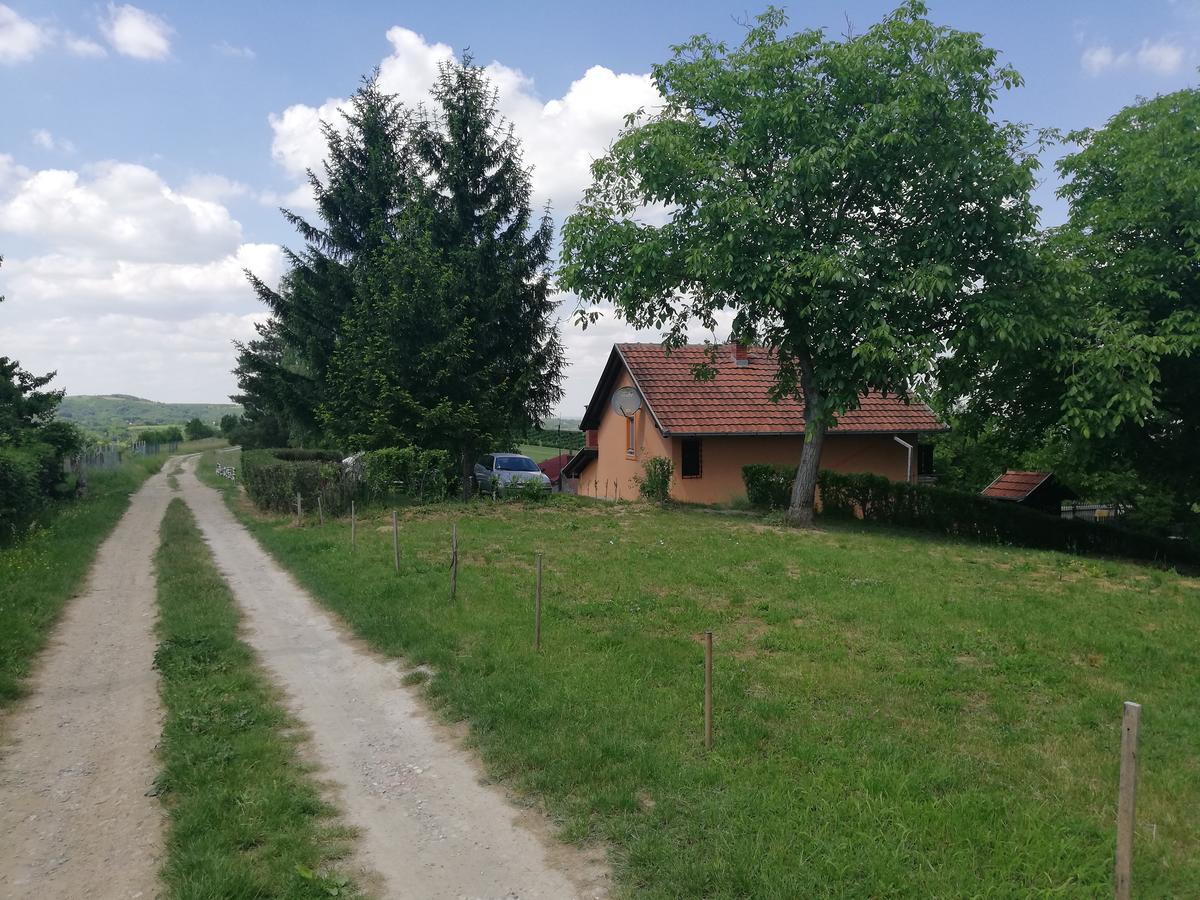 Guest House Jevtovic スレムスキ・カルロヴツィ エクステリア 写真