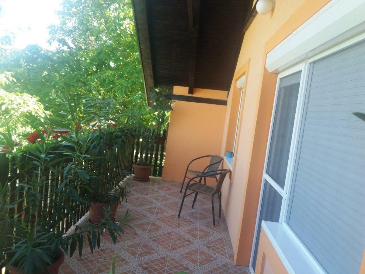 Guest House Jevtovic スレムスキ・カルロヴツィ エクステリア 写真