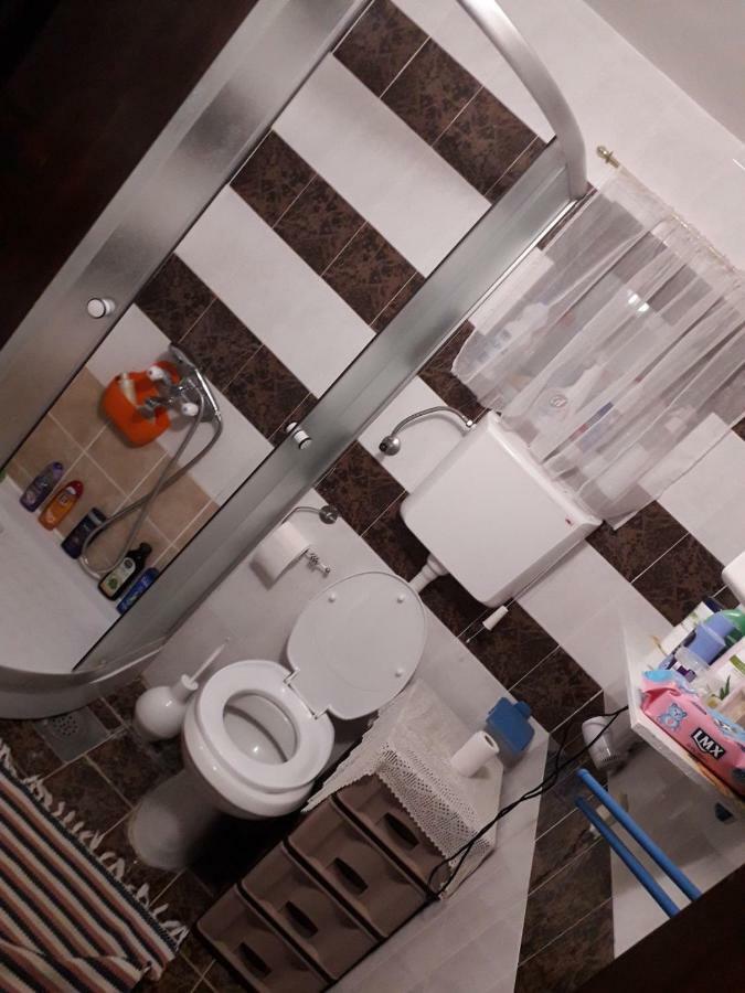 Guest House Jevtovic スレムスキ・カルロヴツィ エクステリア 写真